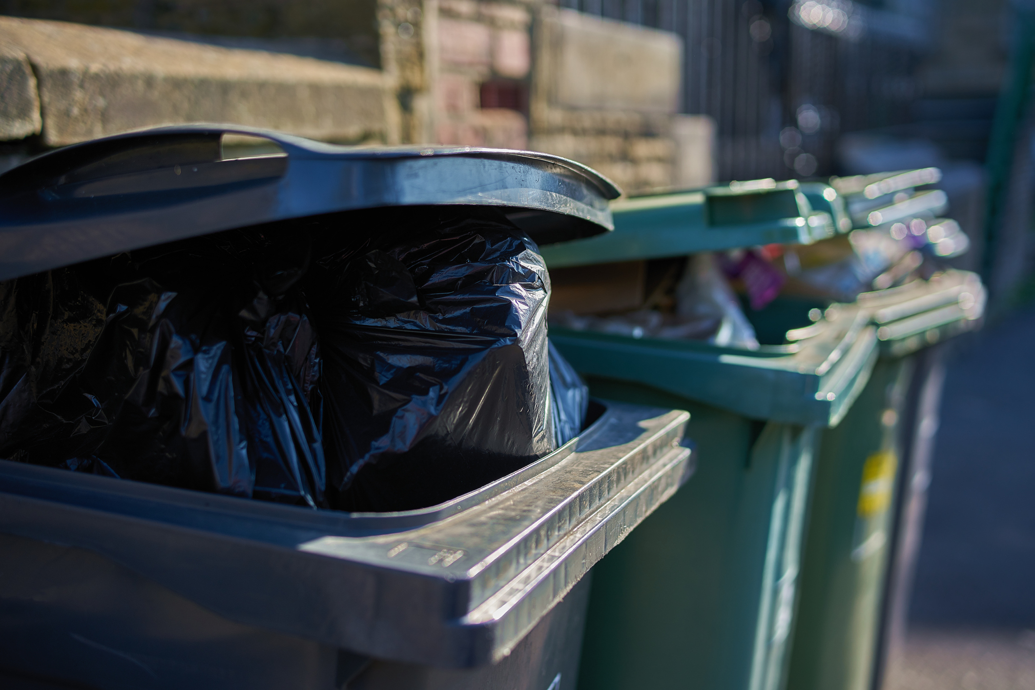 Why You Should Avoid Having Overflowing Garbage Bins - Sweitzer Waste